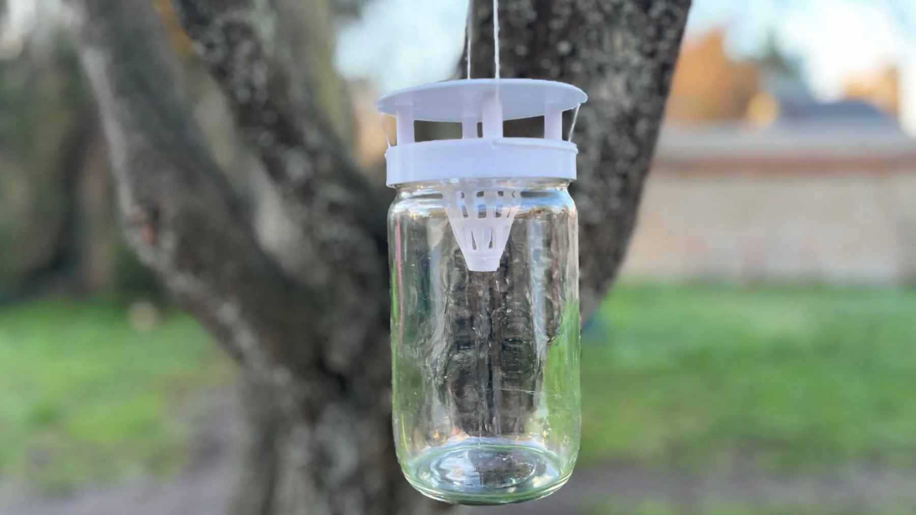 A recycled bottle is being used in Aragón as a trap for Asian hornets, and what is surprising is how the simplest setup can be the most effective once the invasion is established 1 A homemade plastic bottle trap hanging near the Guadalope River, designed to capture invasive Asian hornet queens.