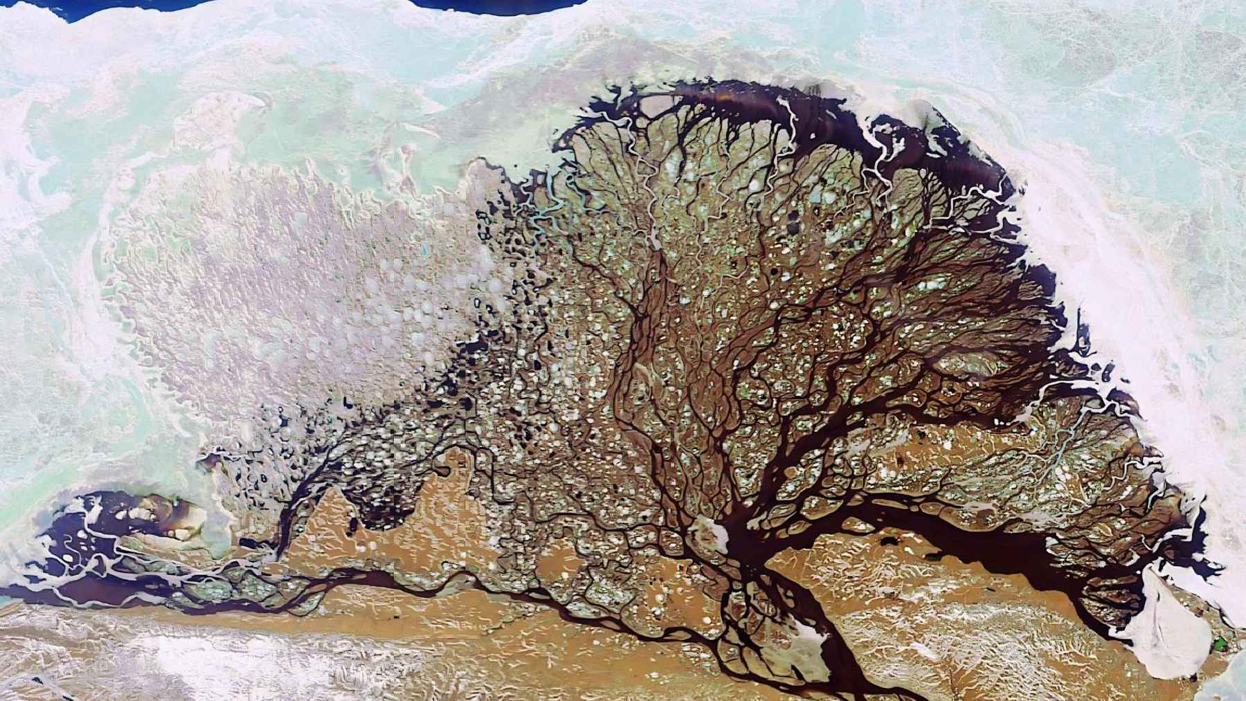 Satellite view of an Arctic river delta showing permafrost terrain and branching waterways storing large carbon reserves.