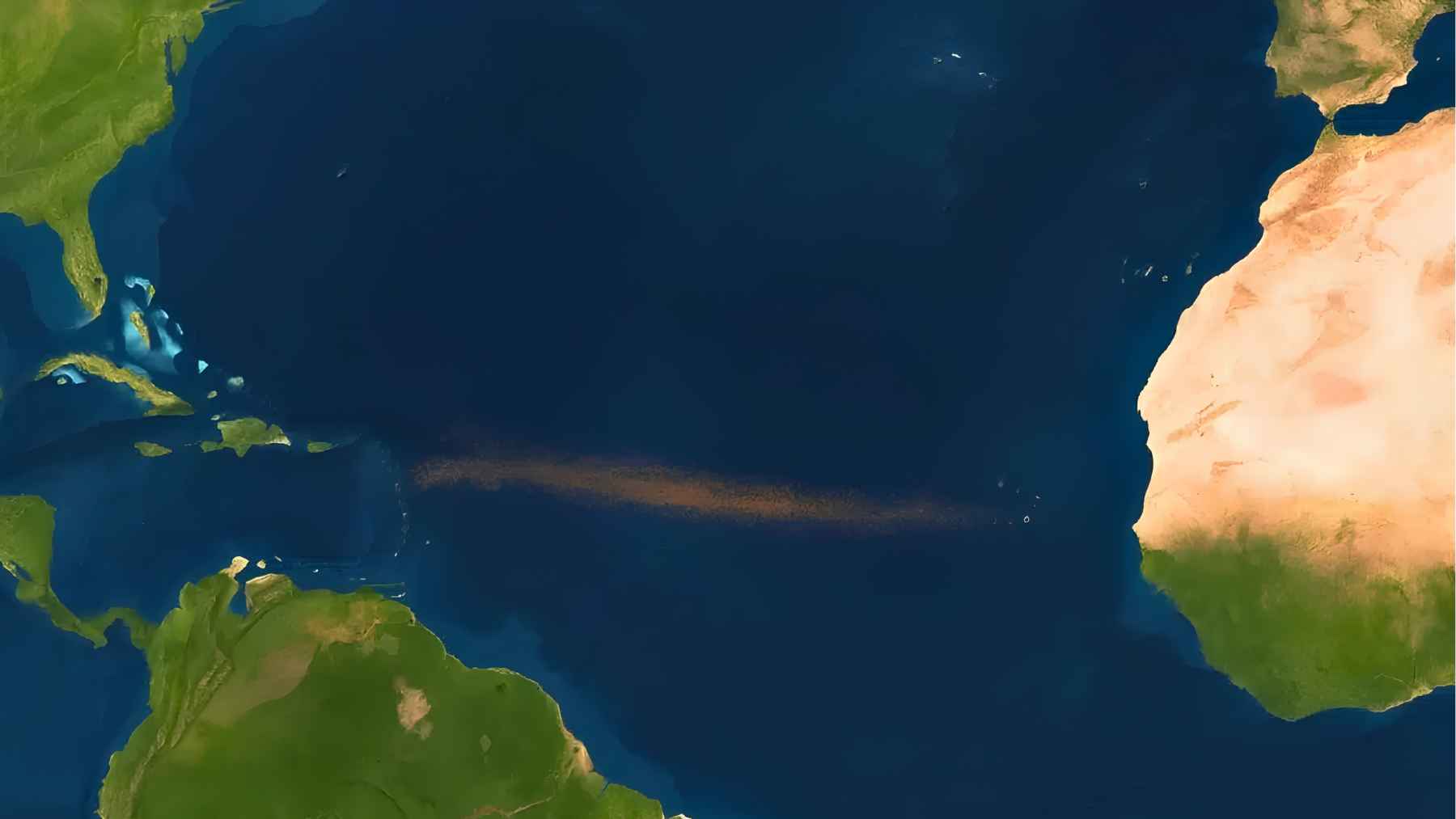 Satellite view of a massive brown sargassum belt stretching across the Atlantic Ocean between Africa and the Americas.