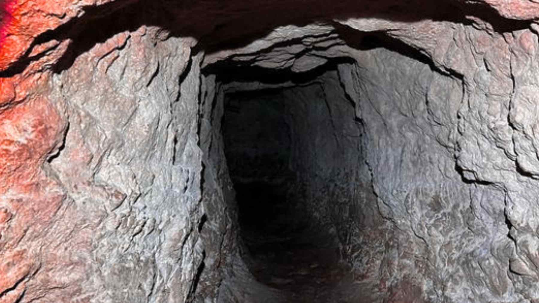 Researchers exploring an underground tunnel in Greece found a new cave cricket and named it Dolichopoda balrogi, and what’s wild is that the discovery came from a manmade tunnel where hardly anyone expects to find a brand-new species