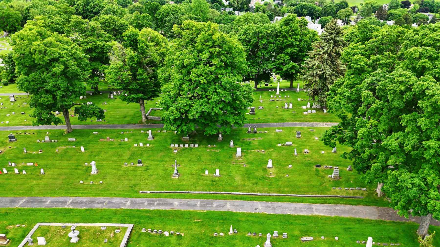 Scientists find about 5.6 million bees living beneath a New York cemetery for more than 100 years, and the hidden colony could help protect vulnerable pollinators 1 Aerial view of East Lawn Cemetery in Ithaca, New York, where millions of bees live underground.