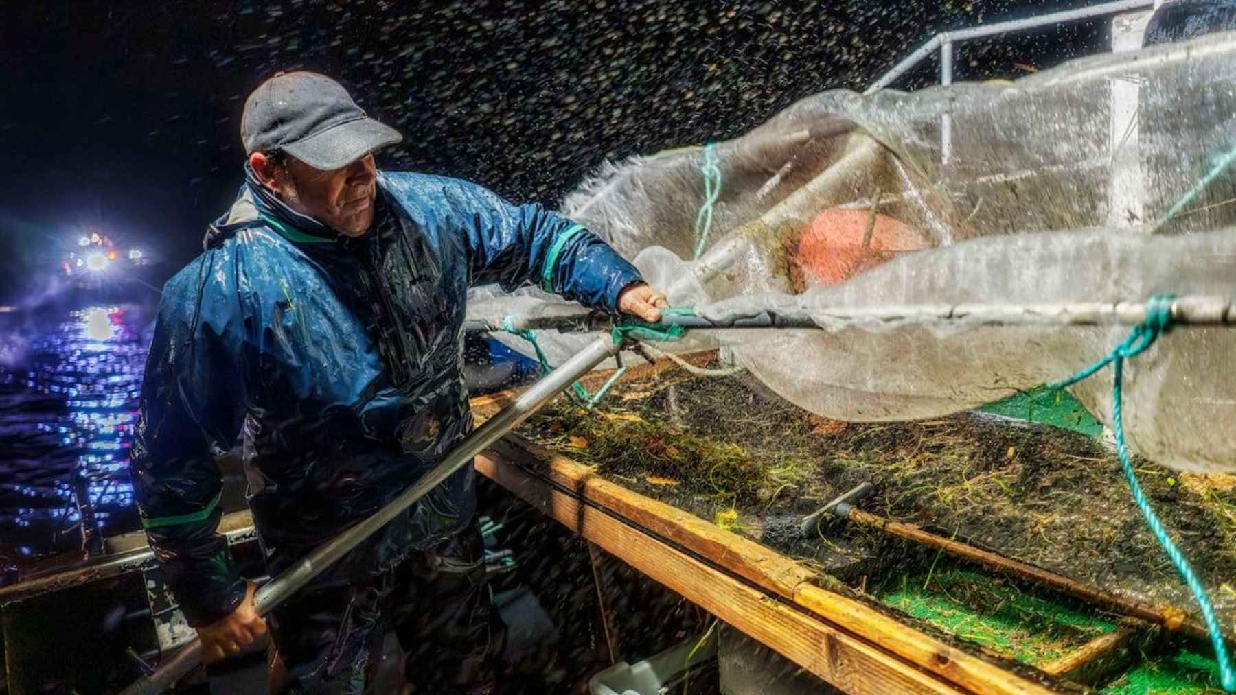 Fisherman catching eels at night using nets in a river or estuary in Spain.