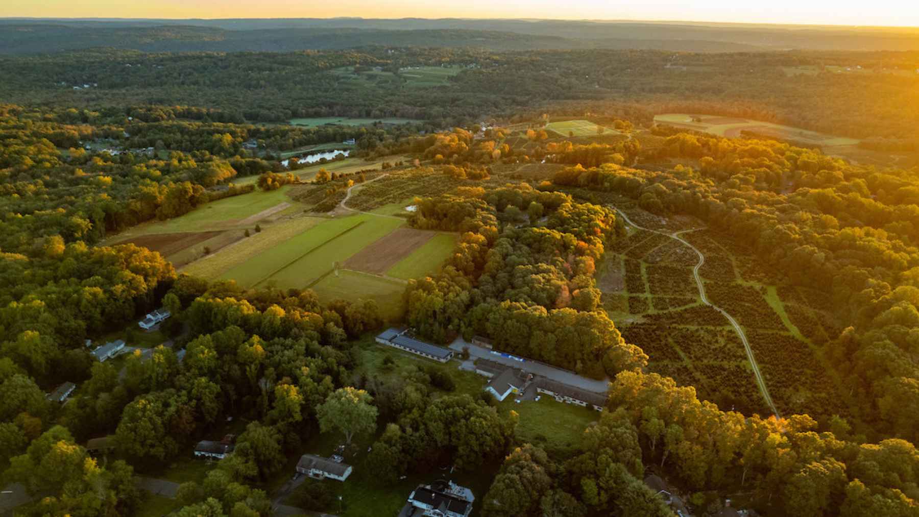 Aerial view of farmland and wooded rural land in Georgia at sunset.