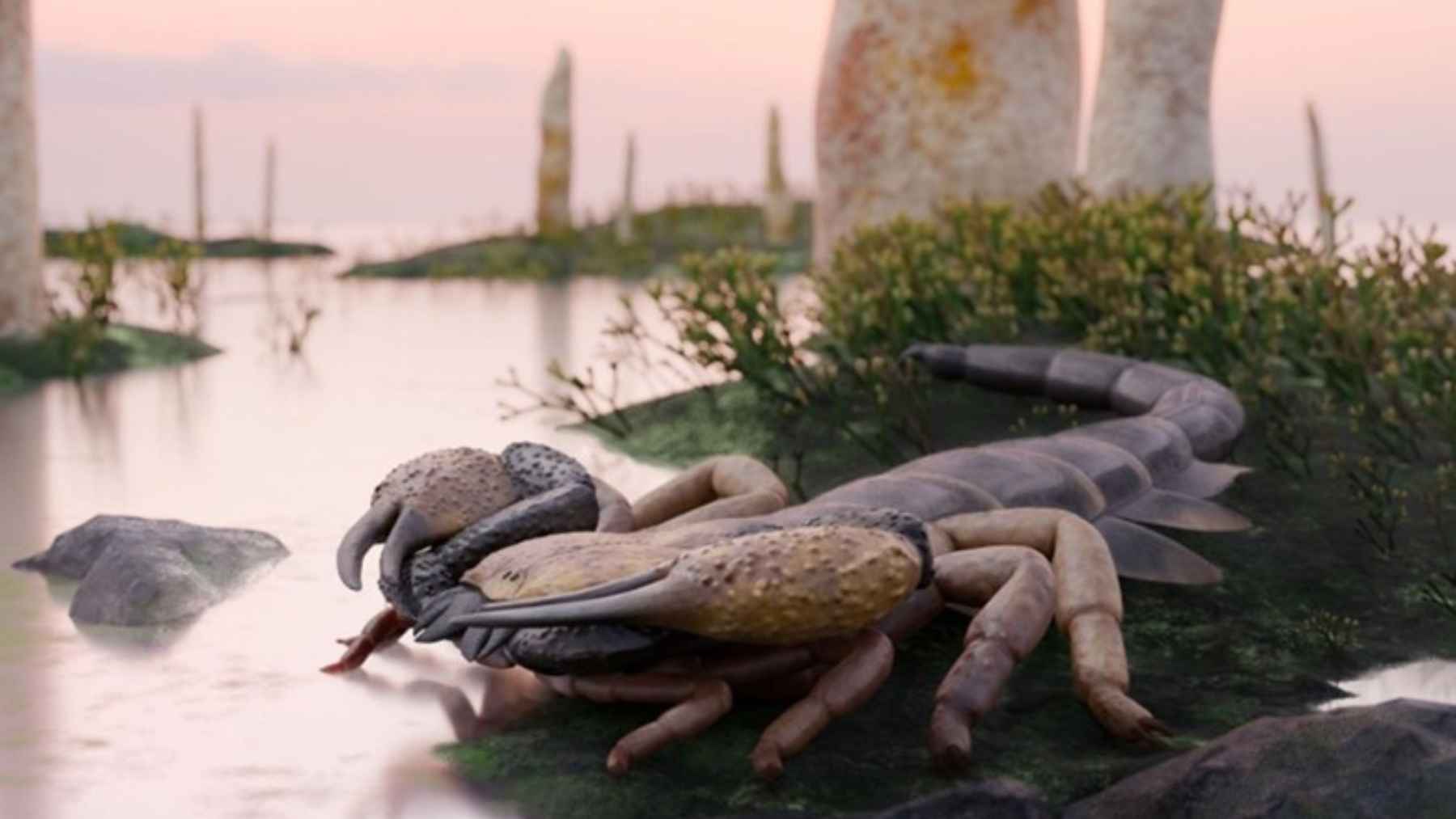 Reconstruction of the giant extinct scorpion Praearcturus gigas in a shallow ancient wetland.