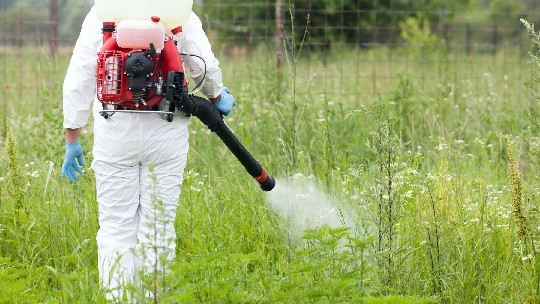 Worker spraying glyphosate herbicide across a grassy field with backpack sprayer