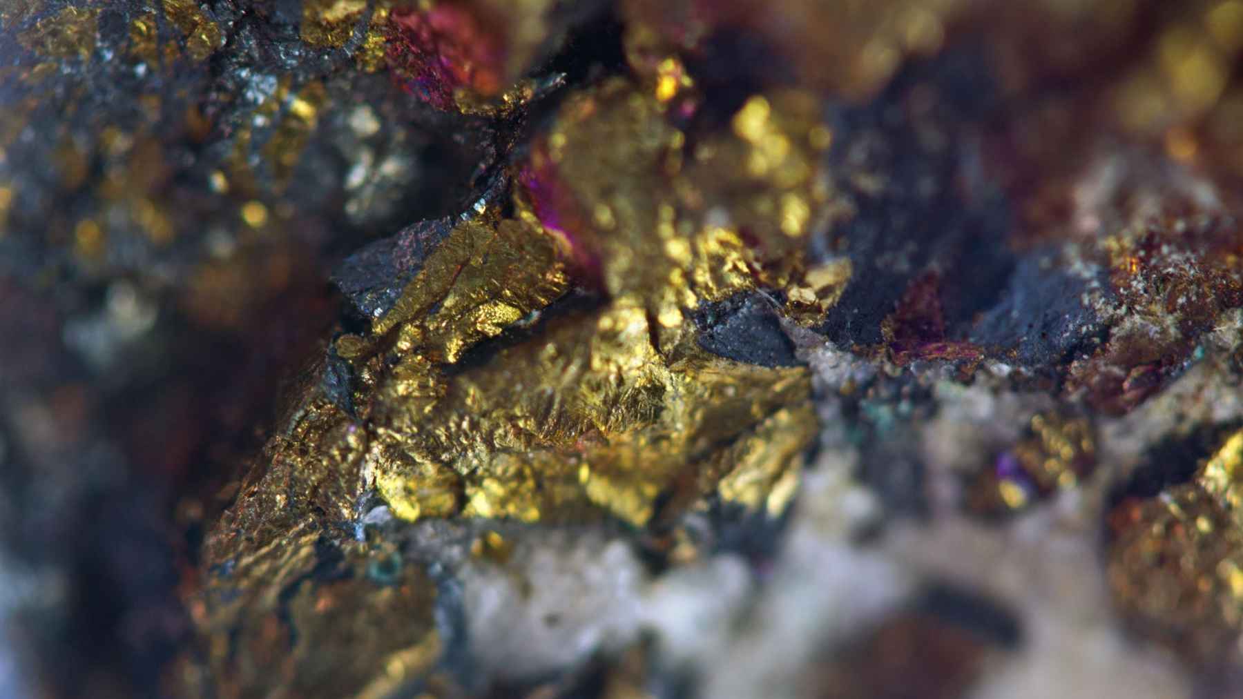 Close-up of gold crystals with metallic shine and textured surface, representing gold under experimental conditions.
