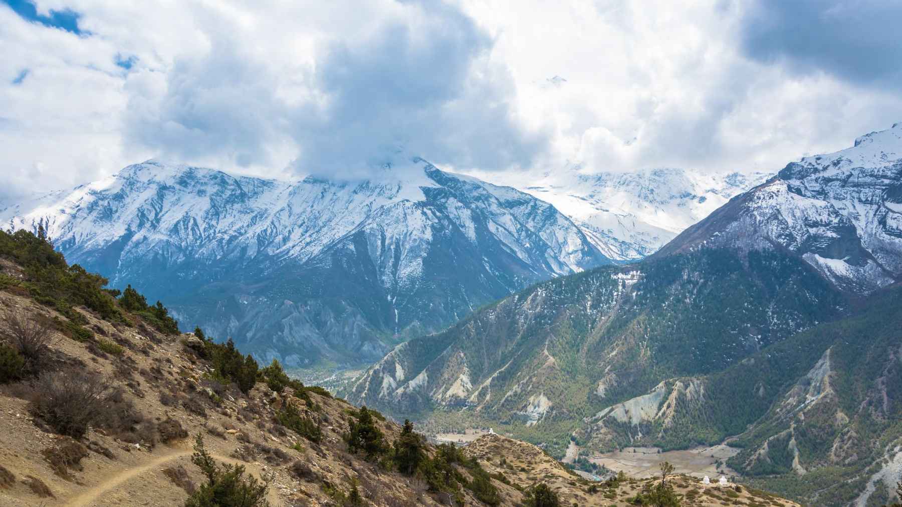 Mountain slopes in the Himalayas show sparse vegetation spreading toward higher altitudes below snow-covered peaks.