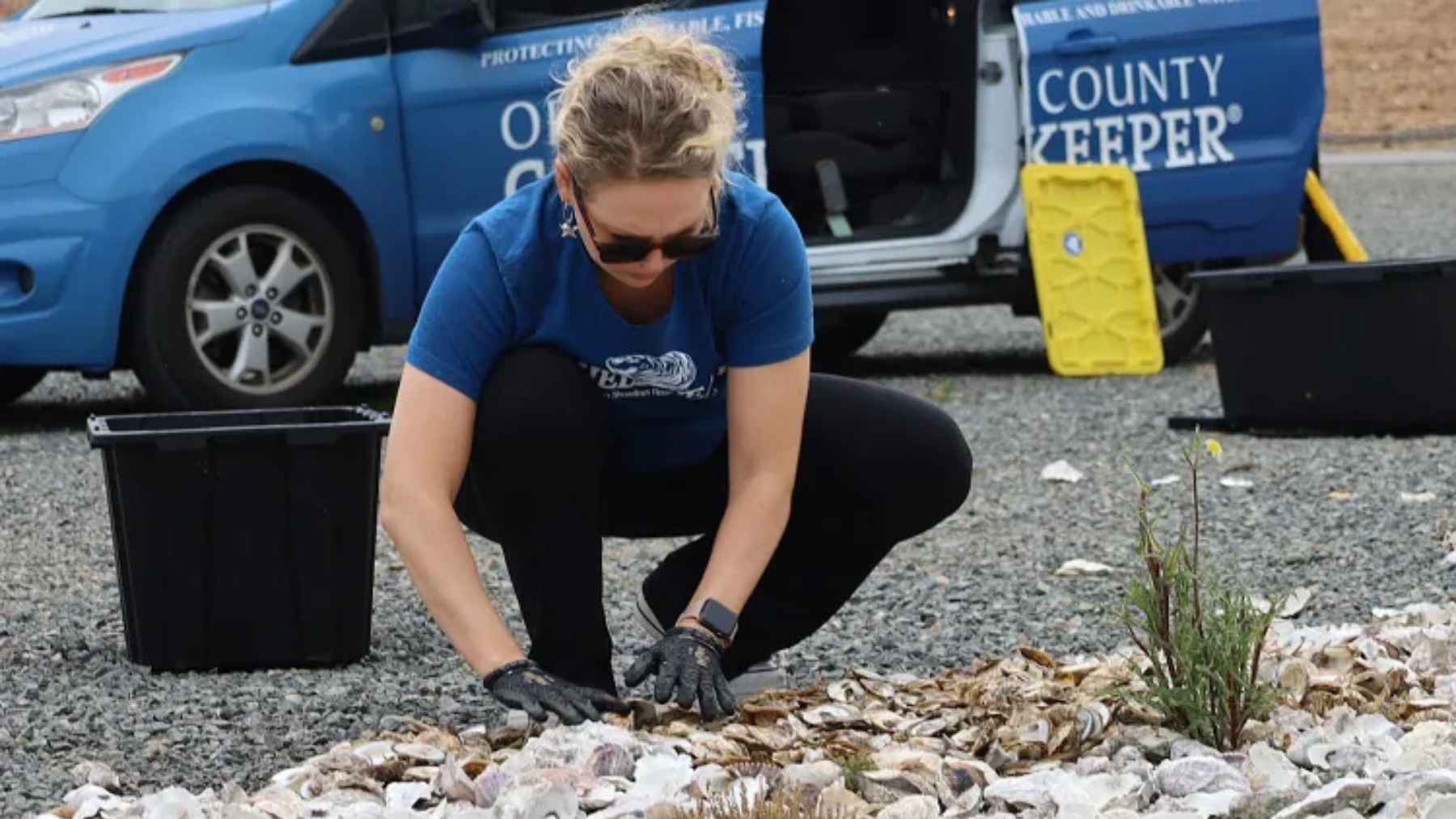 A marine scientist in Southern California has turned restaurant waste into coastal restoration by collecting more than 24,000 pounds of discarded oyster shells, curing them in the sun, and using them to rebuild reefs that protect shorelines and filter water 1 Marine scientist Kaysha Kenney sorting oyster shells for coastal restoration in Southern California.