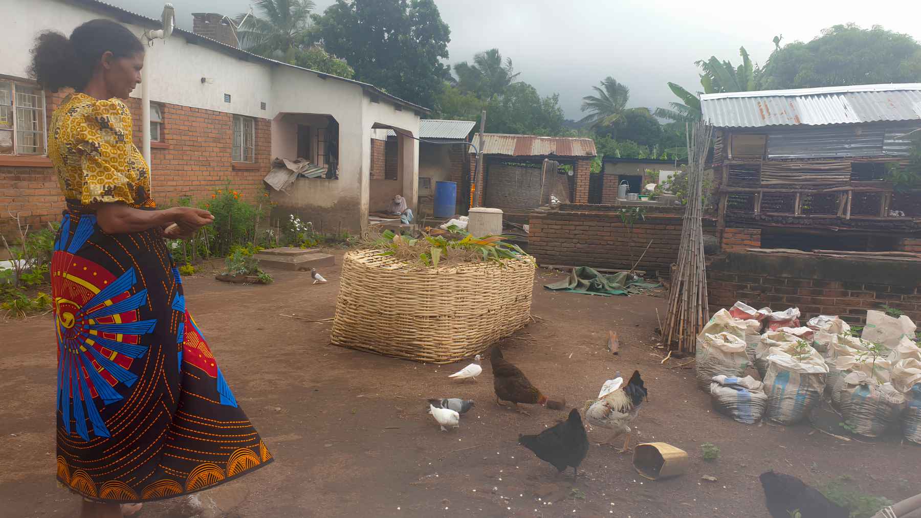 Malawian woman farmer standing in her homestead with chickens and small-scale farm structures