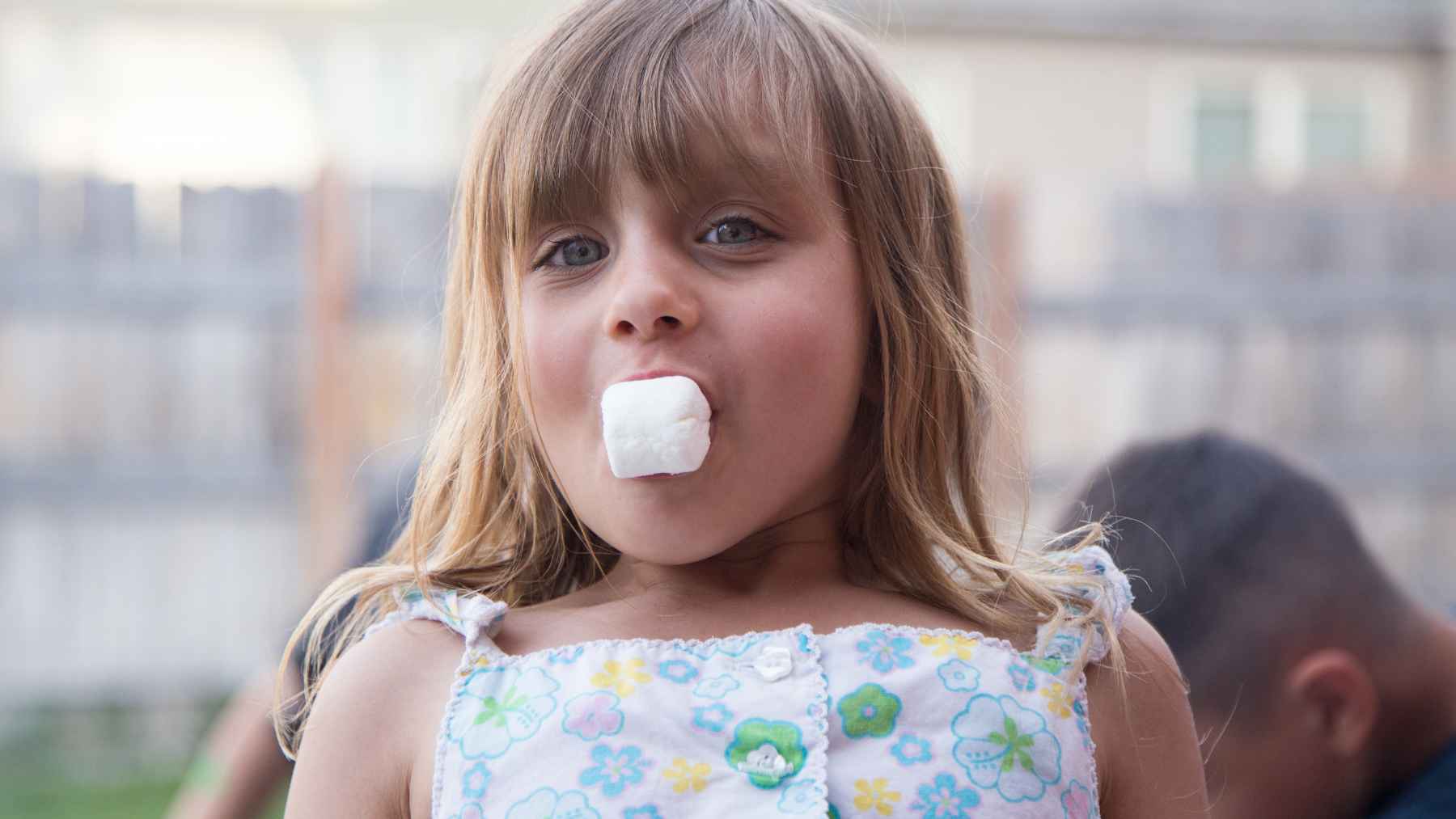 Child participating in a marshmallow test experiment used to study self-control, delayed gratification, and childhood development.