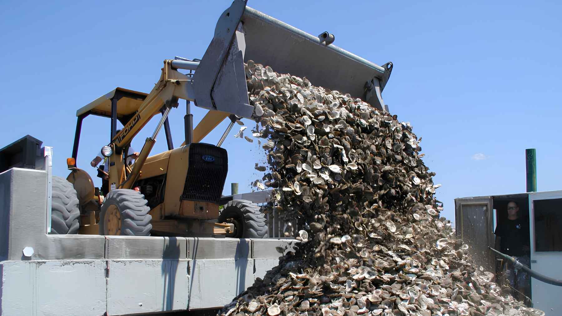 ECOnews 1 Excavator dumping a large pile of recycled oyster shells used for coastal restoration projects.