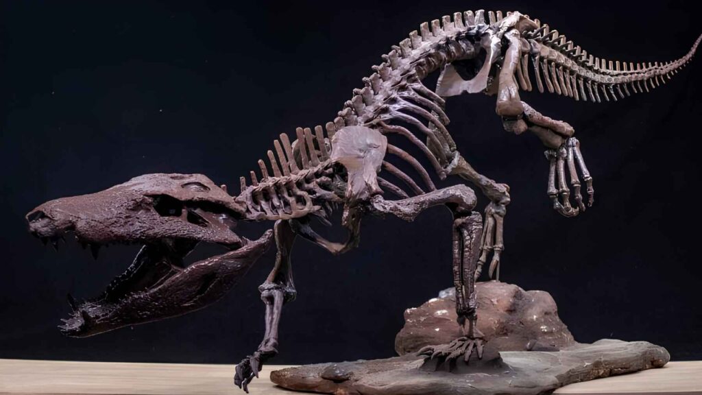 Scientists find the skeleton of a killer crocodile that hunted ...