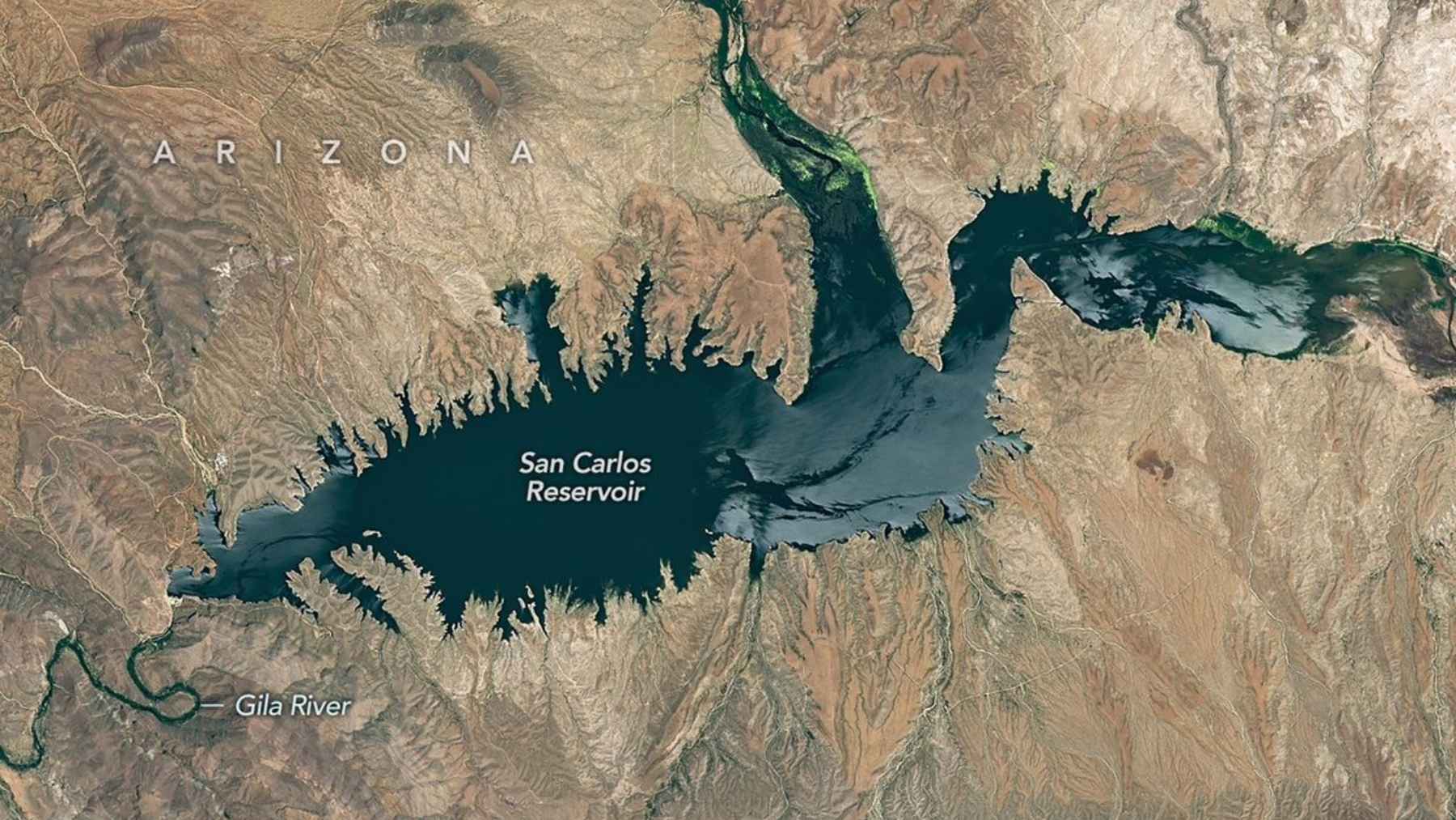 Satellite image of San Carlos Reservoir in Arizona on June 7, 2023, when the reservoir still held a broad expanse of water.