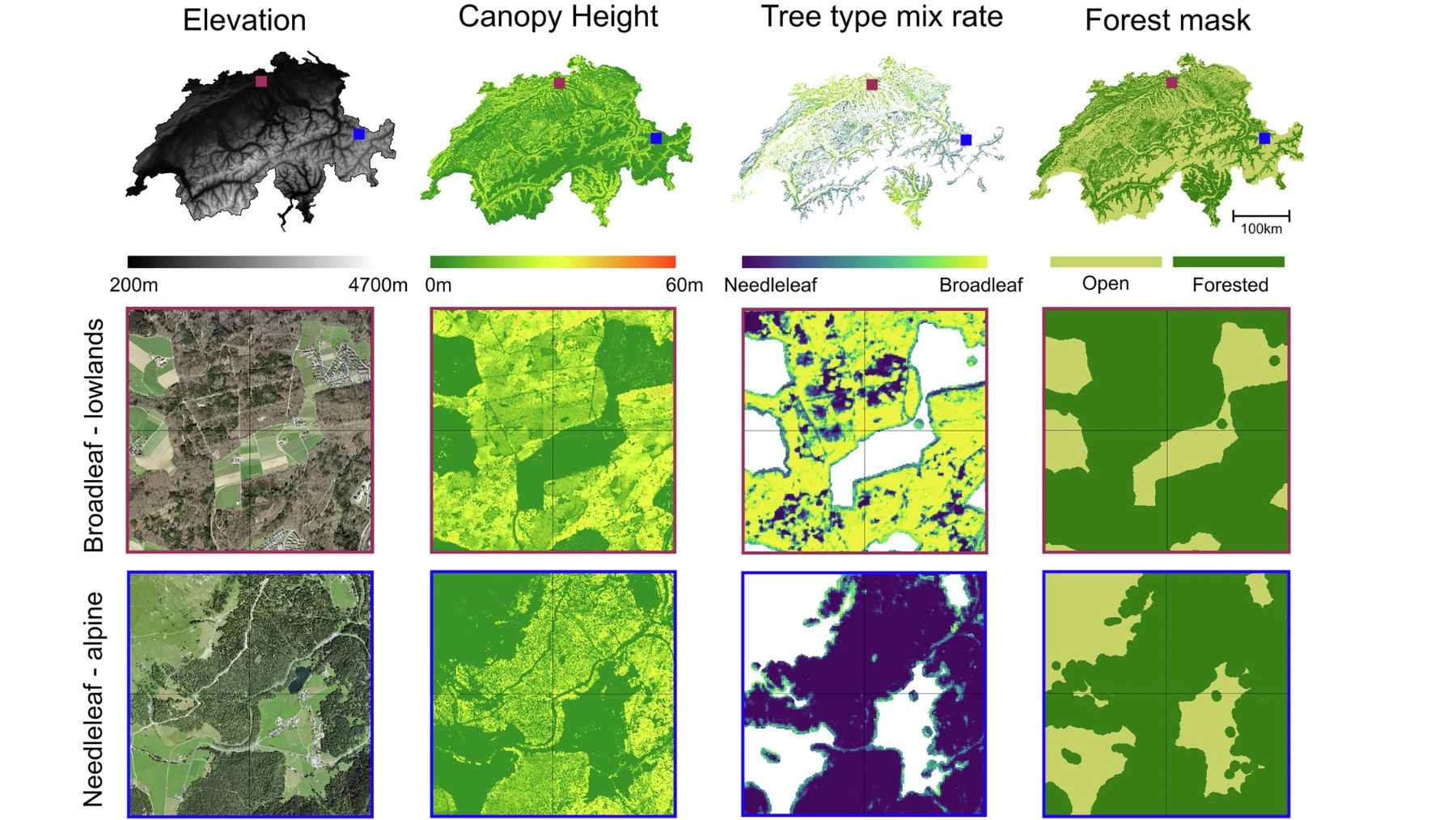 Map panels of Switzerland showing elevation, canopy height, tree type mix, and forest cover used to model ground-level light and shade.