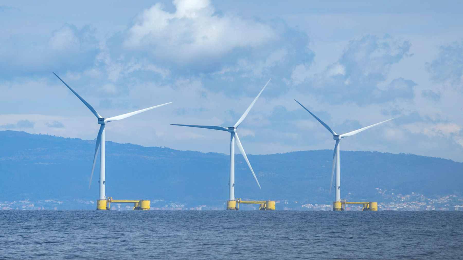 An offshore wind farm in Portugal became a haven for octopuses and 270 other species in just eight years, a data point that reframes how energy and ocean life can coexist 1 Floating wind turbine platforms at the WindFloat Atlantic project, serving as an artificial reef for marine life off the Portuguese coast.