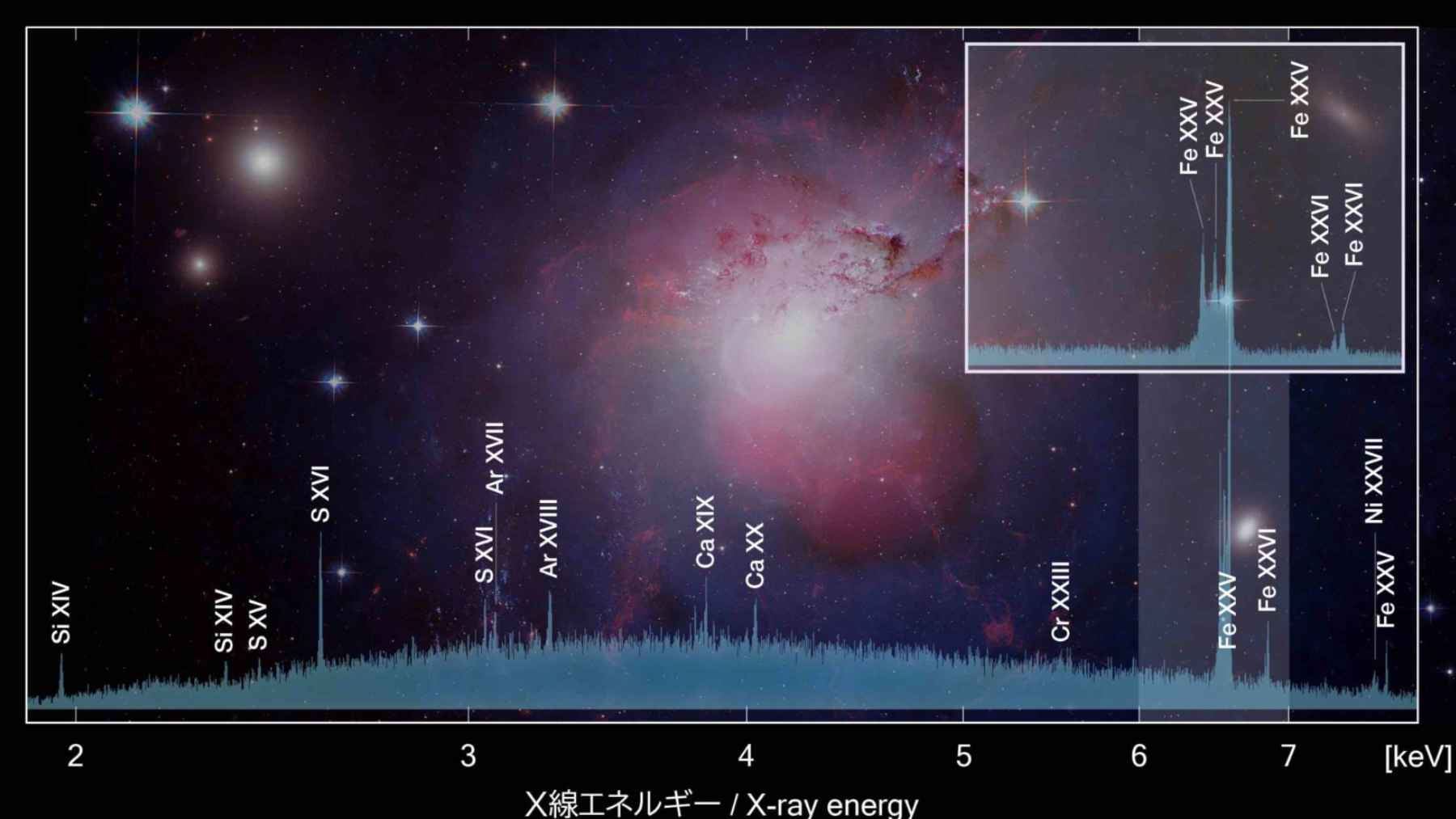 XRISM X-ray spectrum of the Perseus galaxy cluster showing elemental signatures in the hot gas