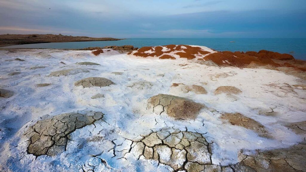 Salt-covered sediments exposed by the shrinking Aral Sea, where buried carbon is now being released into the atmosphere.
