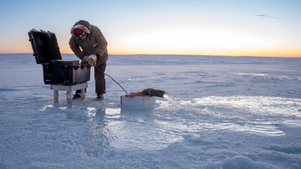 A research team in Cambridge Bay, Nunavut, conducting a field test by pumping seawater onto sea ice to increase its thickness and reflectivity.