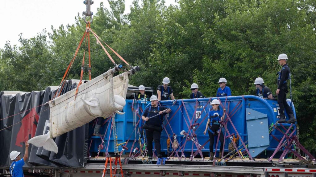 Animal care specialists oversee the relocation of a rescued beluga whale into a transport pool at SeaWorld San Antonio.