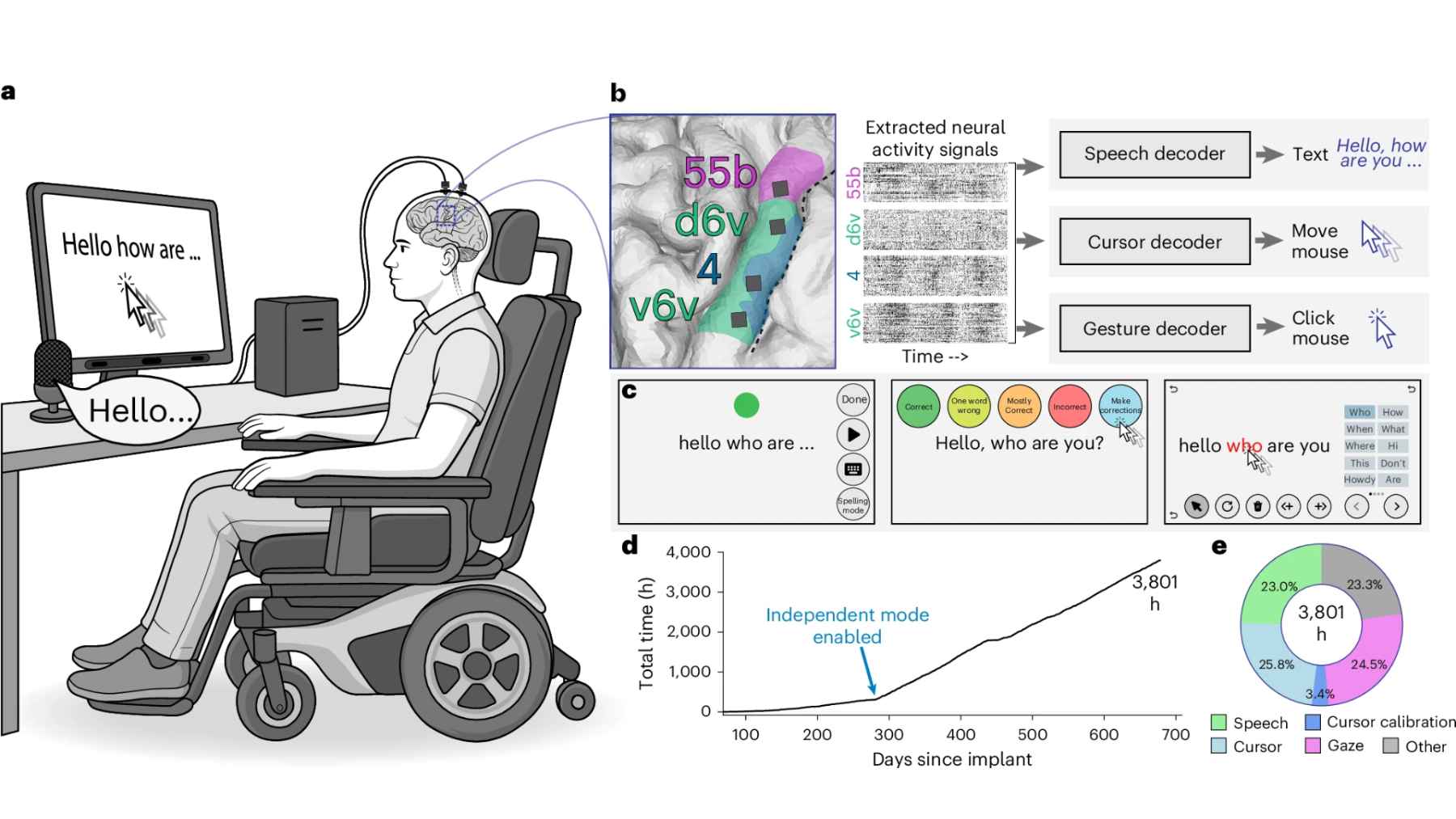 A man with severe paralysis caused by ALS used a brain implant at home for more than 3,800 hours and was able to convert his attempts to speak into text, computer-generated information, and a voice similar to his own 1 Diagram showing how neural signals are decoded into speech, cursor movement, and text using a brain-computer interface