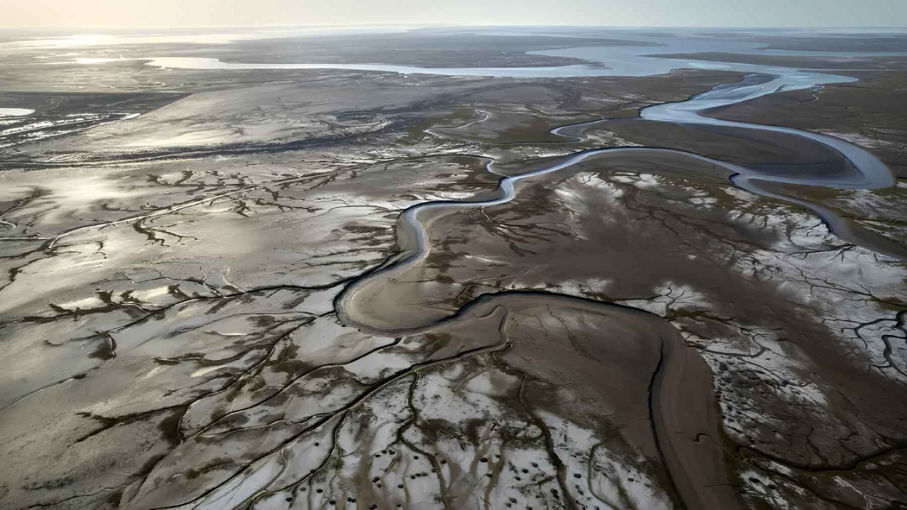 After decades of dams, diversions, and drought, the Colorado River will once again flow into the Sea of Cortez—a scene many believed was lost and that is seen almost as a historic return of the water.
