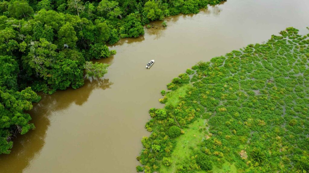 Aerial view of the Congo River carrying freshwater through tropical rainforest before reaching the Atlantic Ocean.