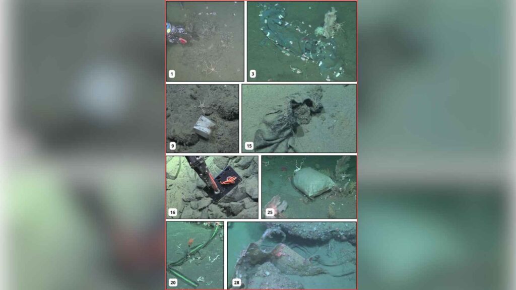 Composite of ROV photos showing plastic bags, fishing gear, clothing, a VHS tape and other debris on the Argentine continental slope.