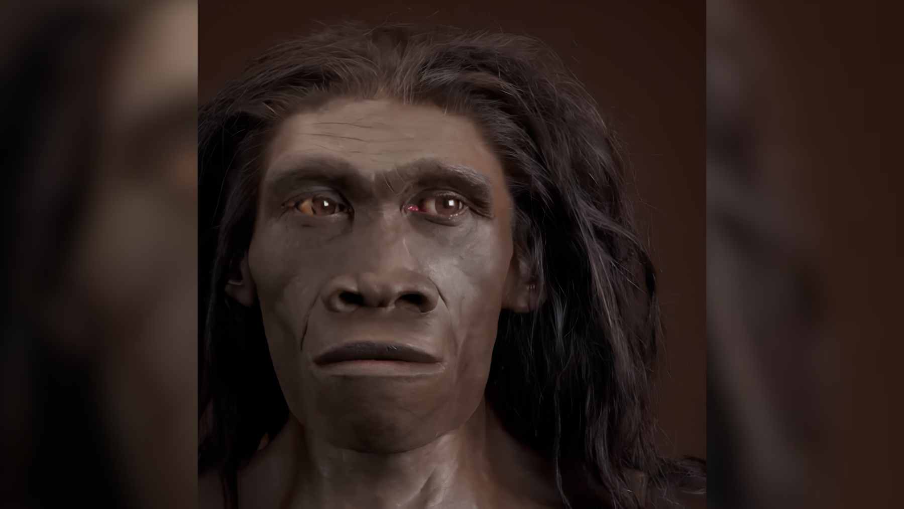 A scientific analysis of 400,000-year-old Homo erectus fossil teeth, which provided rare enamel protein evidence of ancient links to Denisovans.