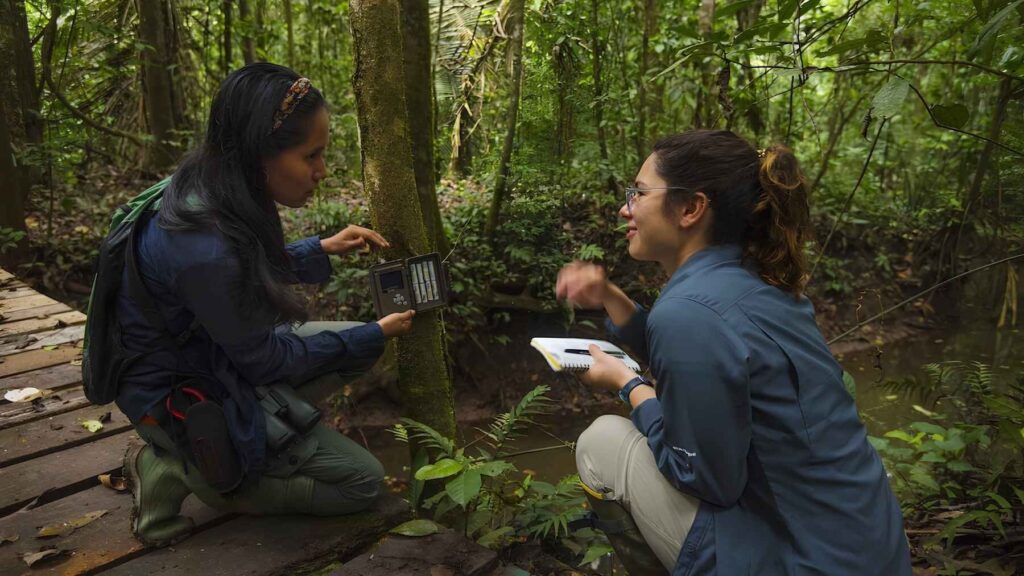 Two women installing a camera trap on a tree in a tropical forest to monitor wildlife activity.