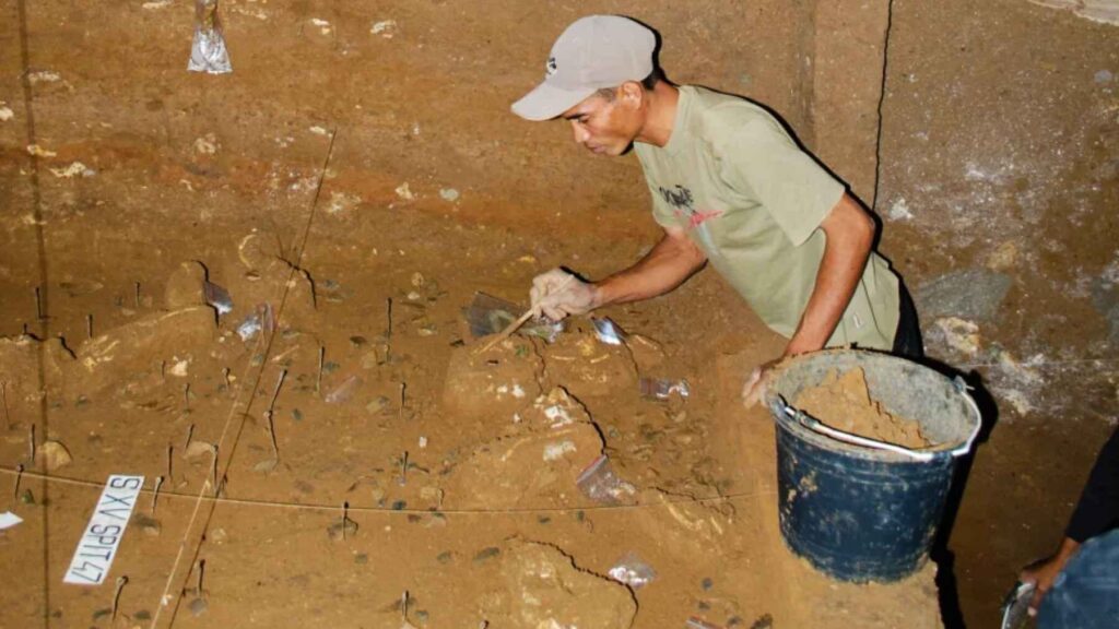 Archaeologist excavates Homo floresiensis fossil deposits at the Liang Bua cave site on the Indonesian island of Flores.