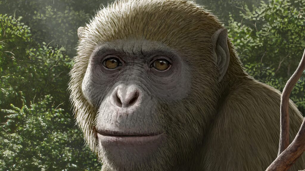 Reconstrucción artística del primate fósil Masripithecus moghraensis mirando hacia el frente en un entorno boscoso del Mioceno temprano.