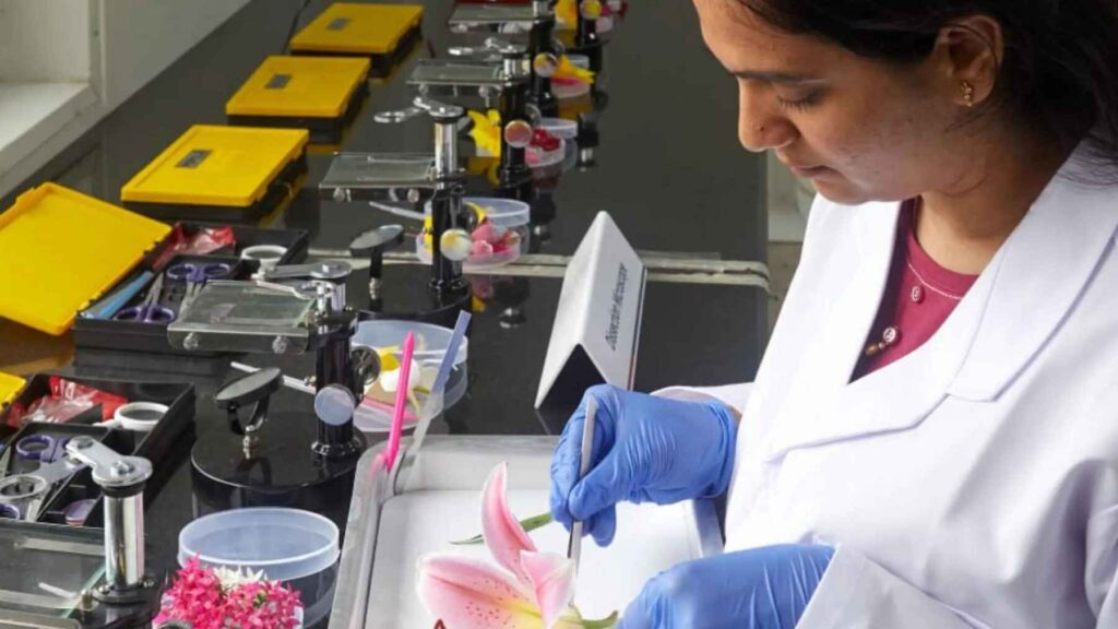 Scientist examining a flower specimen in a laboratory while studying plant reproduction and self-fertilization.