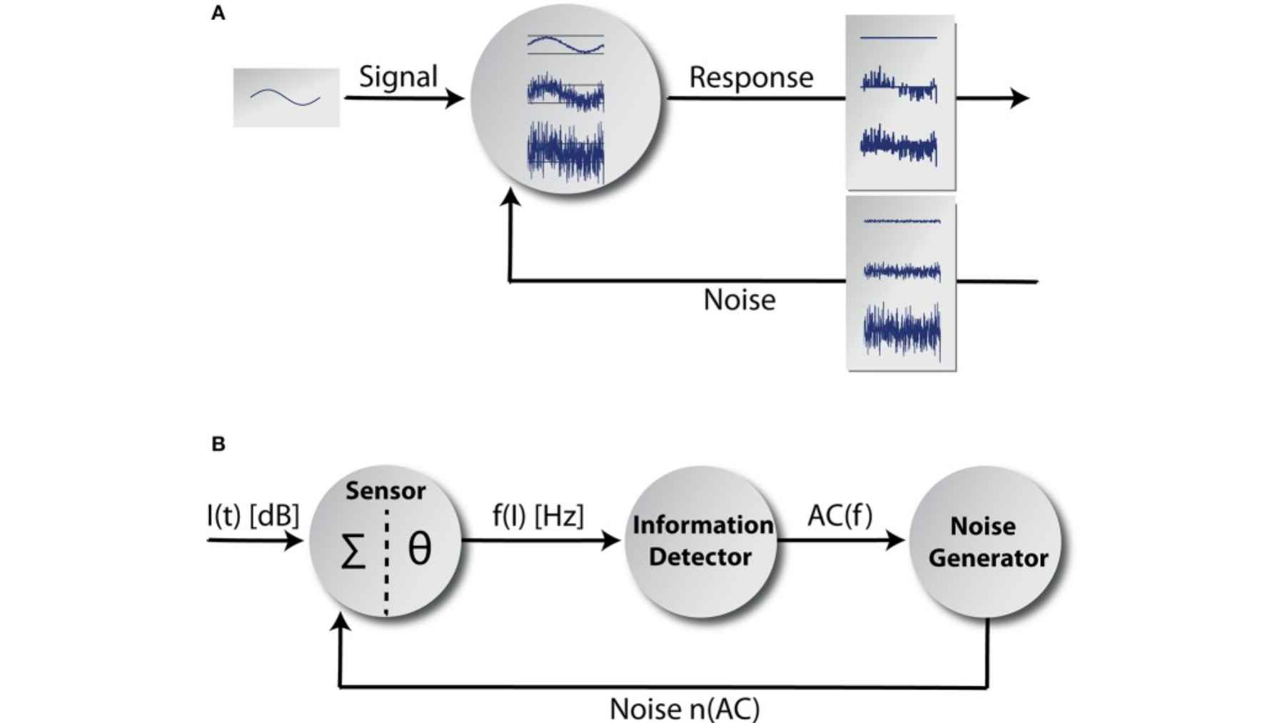 Everything seemed to point to a simple “malfunction” in the brain until a decade of research began to reveal a different reality: tinnitus could be a side effect of a mechanism that tries to keep hearing alive 1 Diagram showing stochastic resonance, where added noise helps a weak signal produce a stronger response in a sensory system.