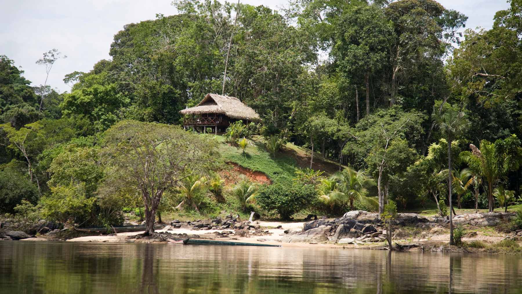 The country with the largest forest area in South America may face a momentous decision: to accept large-scale soybean farming and cattle ranching projects or to protect the rivers, communities, and forests that took centuries to form 2 Dense rainforest canopy in Suriname, highlighting the country's vast natural forests which face pressure from potential industrial agricultural expansion.