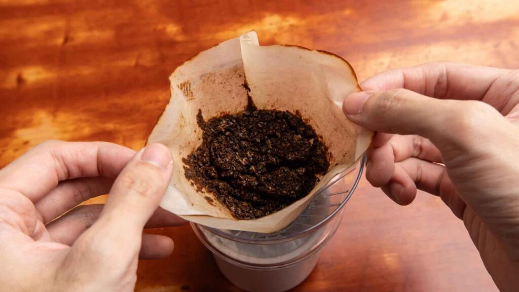 Used coffee filter with wet coffee grounds after brewing.