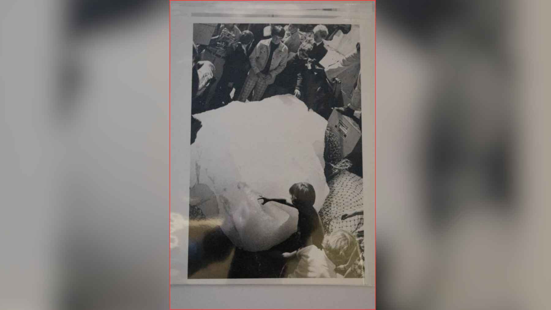 A 2,500-pound block of Alaskan glacier ice displayed at Iowa State University in 1977.
