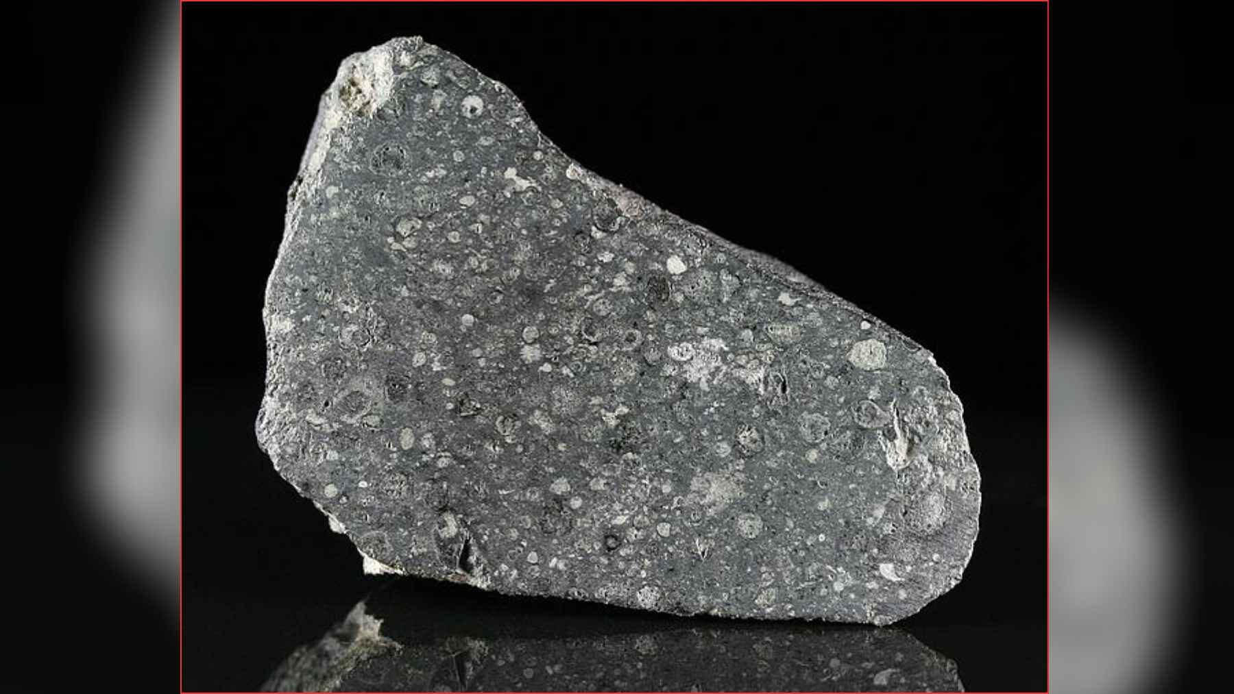 Carbonaceous chondrite meteorite, the primitive asteroid family linked by isotope evidence to the Chicxulub impactor.