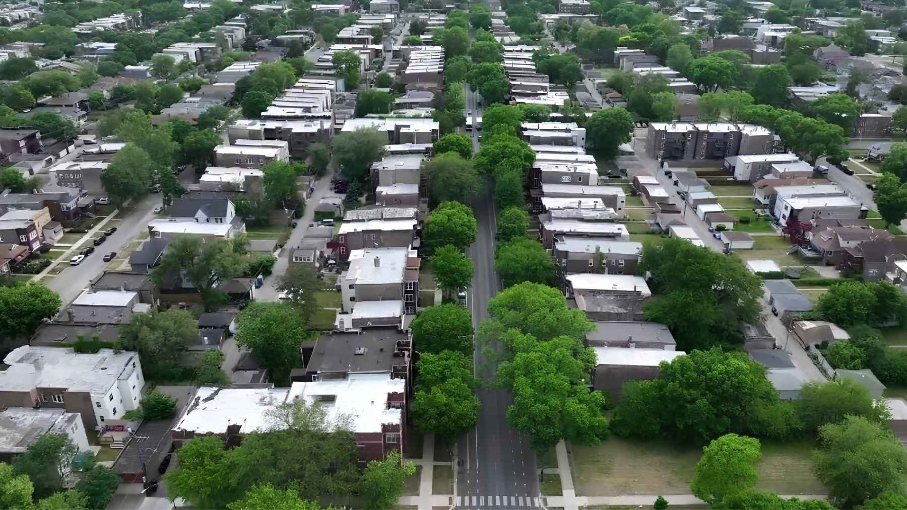 Aerial view of a Chicago neighborhood showing tree canopy distributed along streets and between residential buildings.
