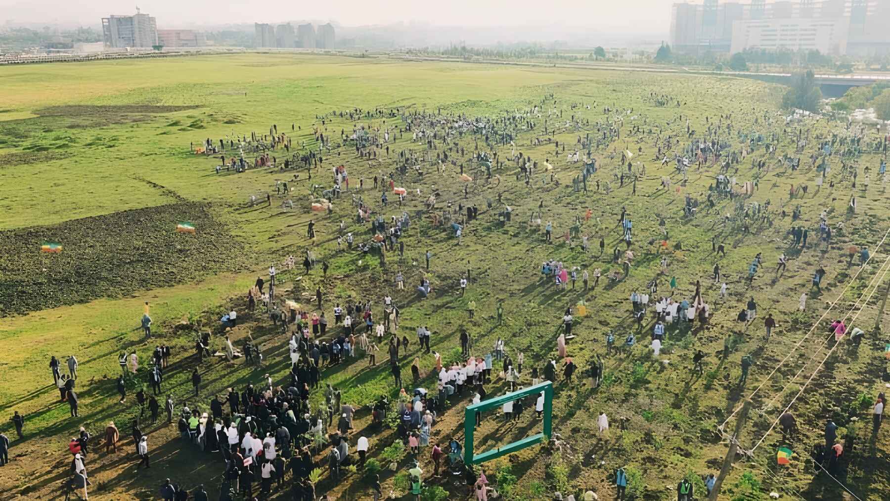 Large crowds taking part in a mass tree-planting campaign in Ethiopia.