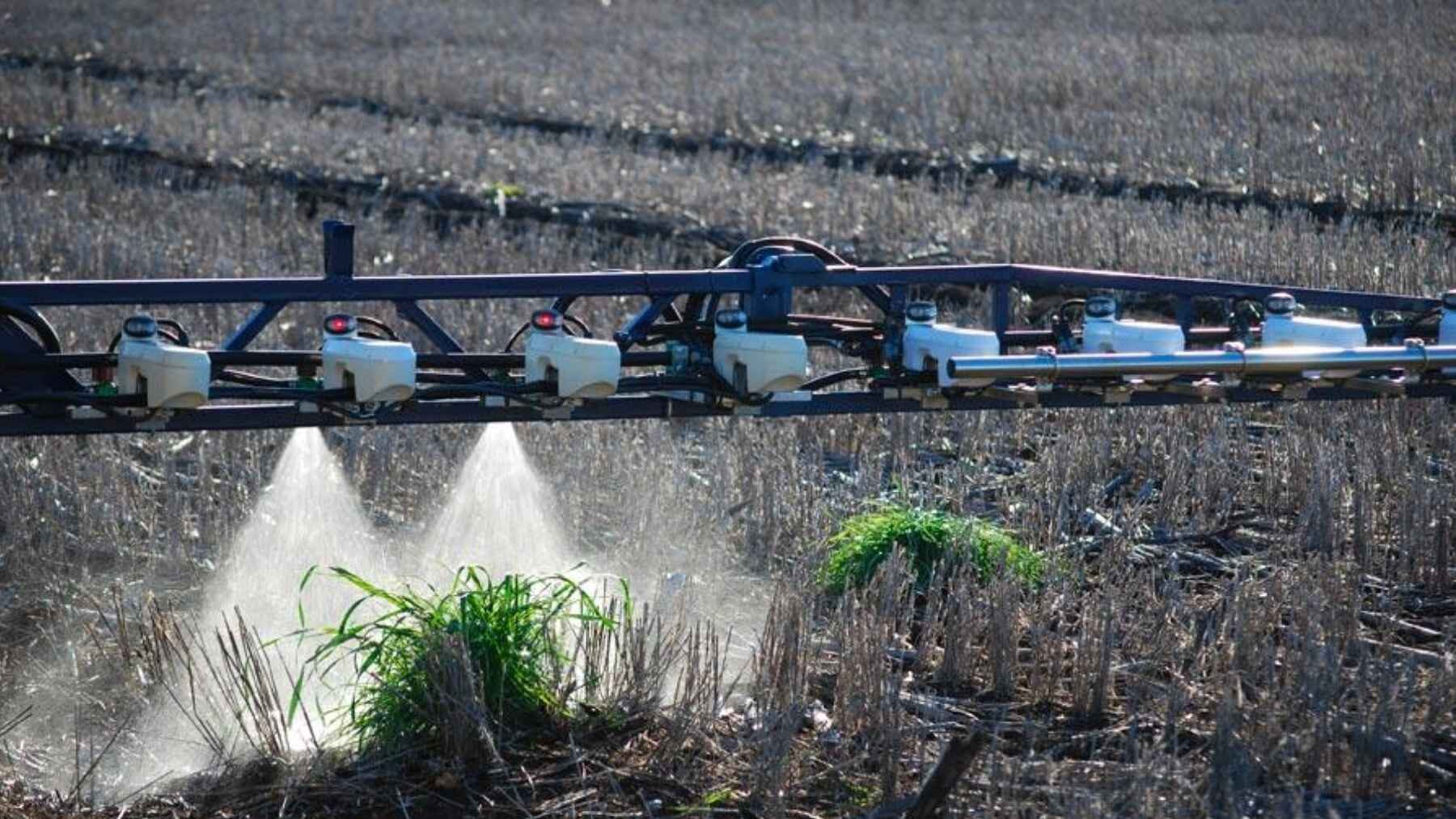 Agricultural boom sprayer applying herbicide to weeds in a field.