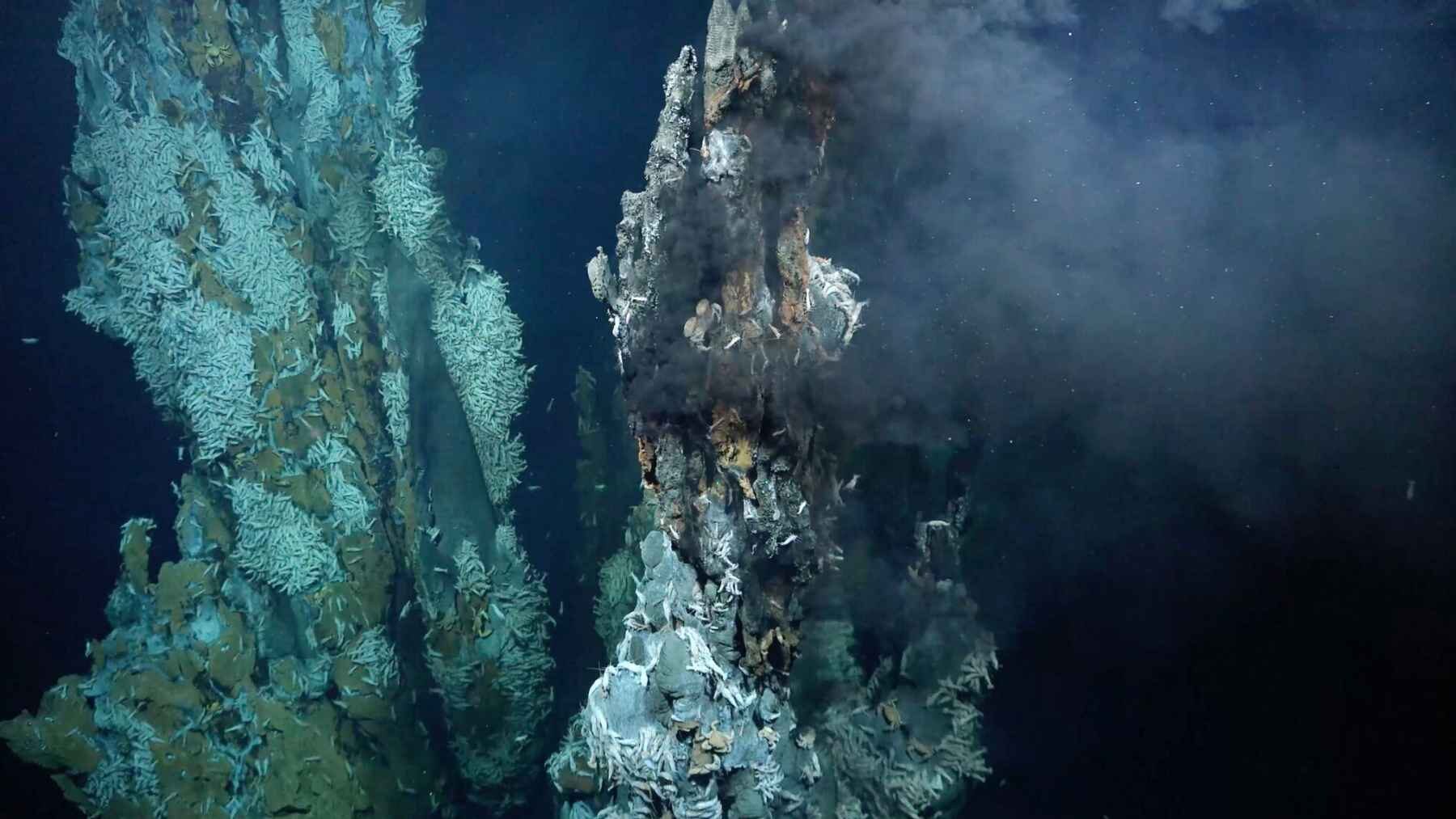 High-temperature hydrothermal vents on Puy des Folles Seamount along the Mid-Atlantic Ridge.
