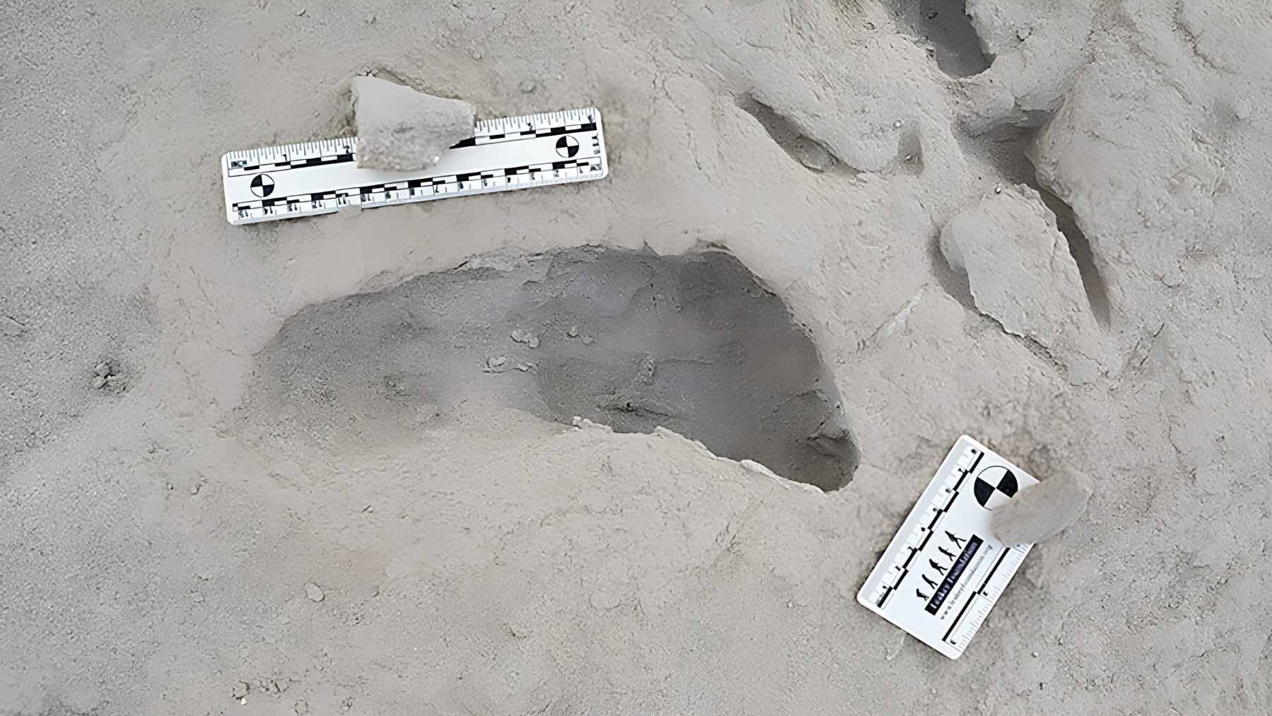 Close-up of an ancient hominin footprint beside measuring scales at a fossil site near Lake Turkana.