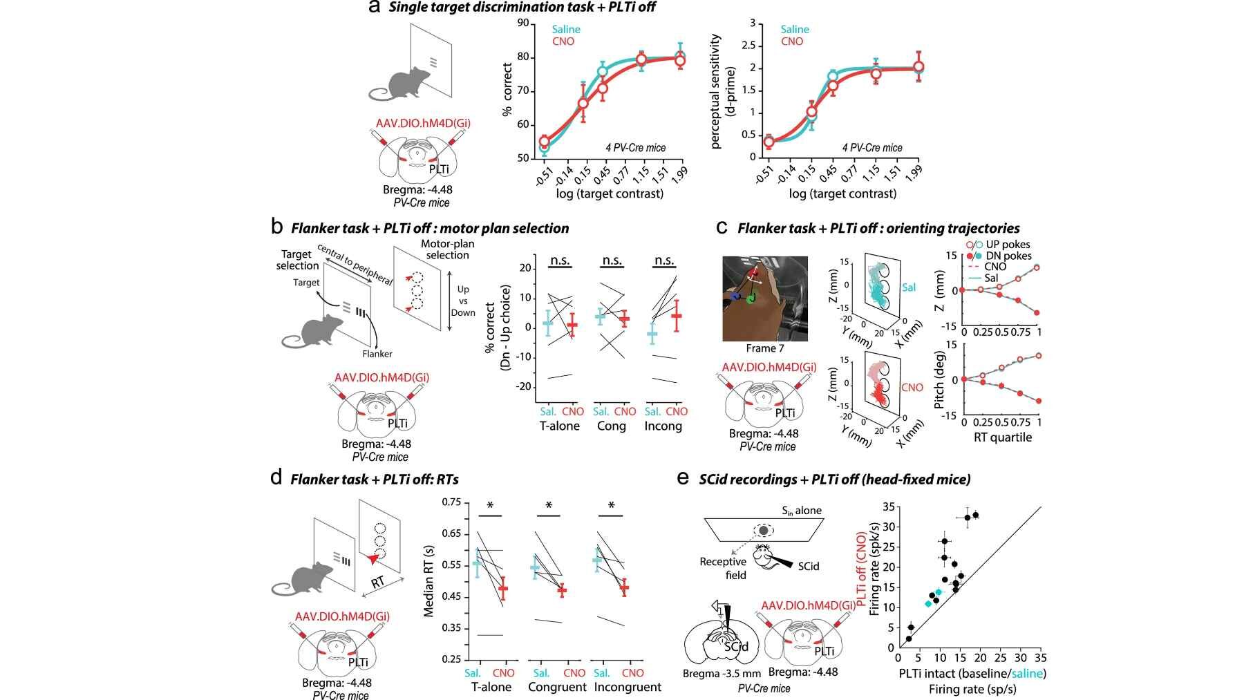 Summary figure showing how silencing PLTi neurons affected selective attention and visual distraction in mice during touchscreen experiments.