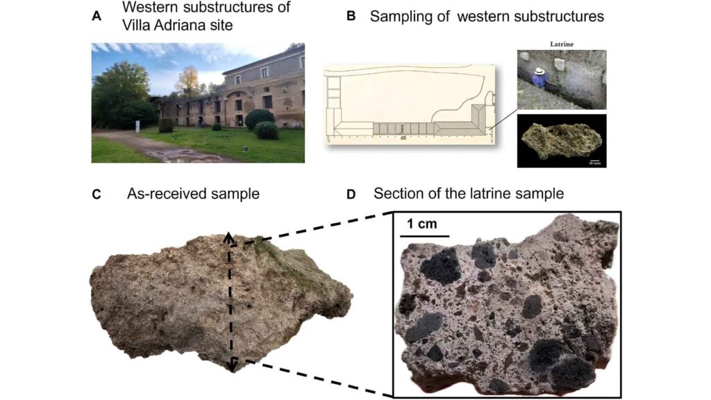 Sampling location and ancient Roman concrete specimen collected from a latrine at Hadrian's Villa for the Science Advances study.