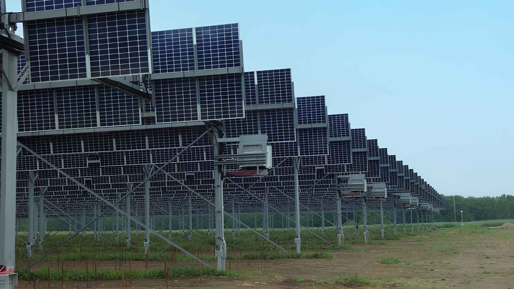 Solar panels installed above rows of grapevines at an agrivoltaic vineyard in Saint-André-de-Lidon, France.