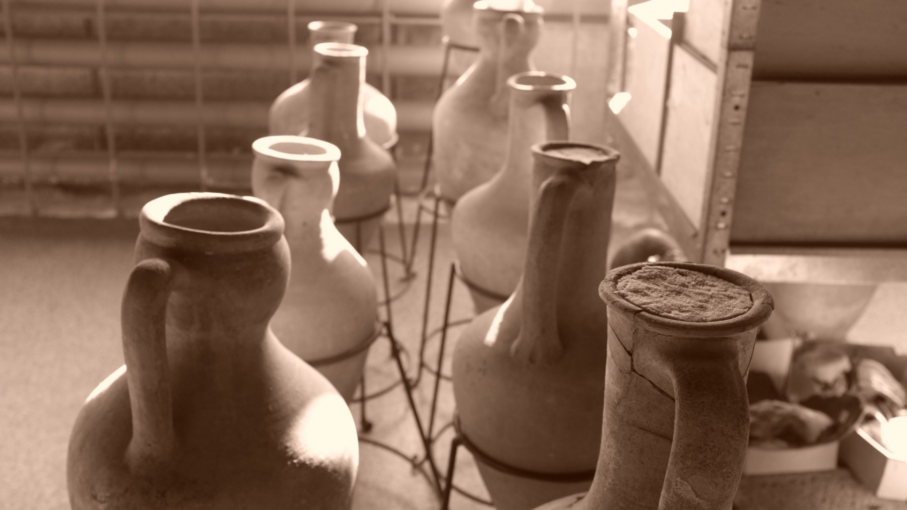 Ancient Greek amphorae
