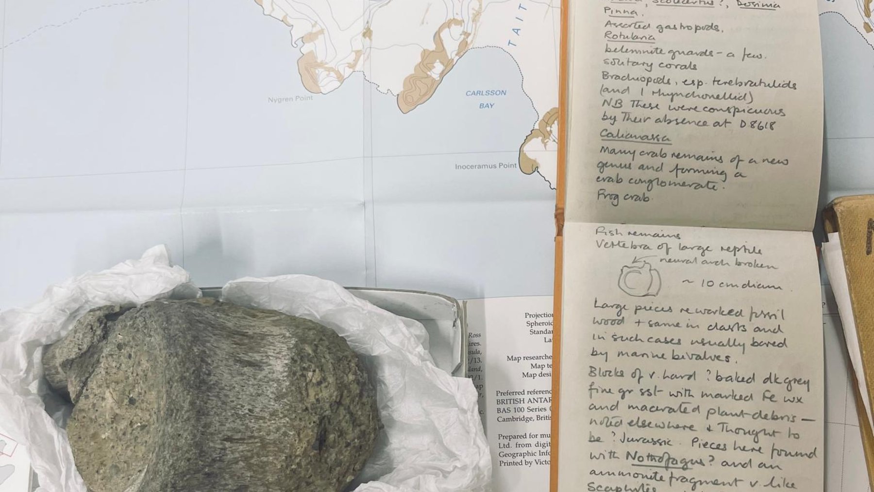 Fossil bone next to the 1985 field notebook from an Antarctic expedition