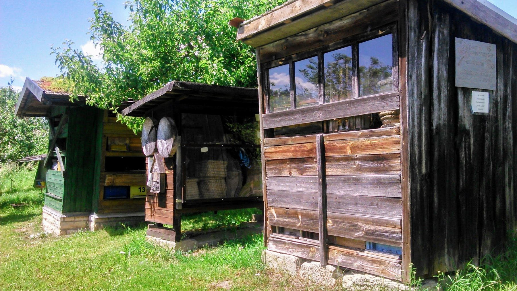 Row of wooden beehives standing in a grassy apiary