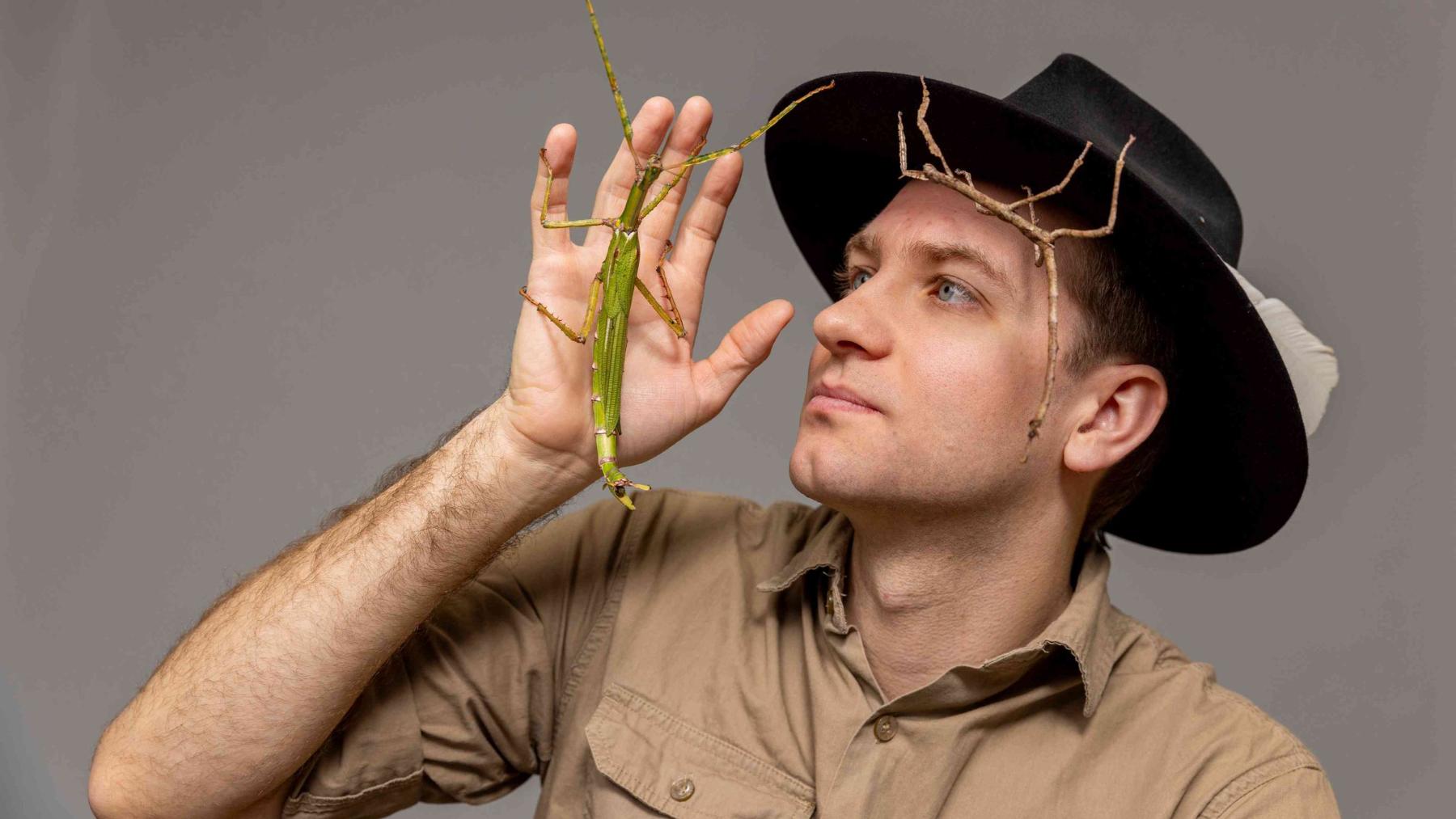 Researcher holding a large stick insect