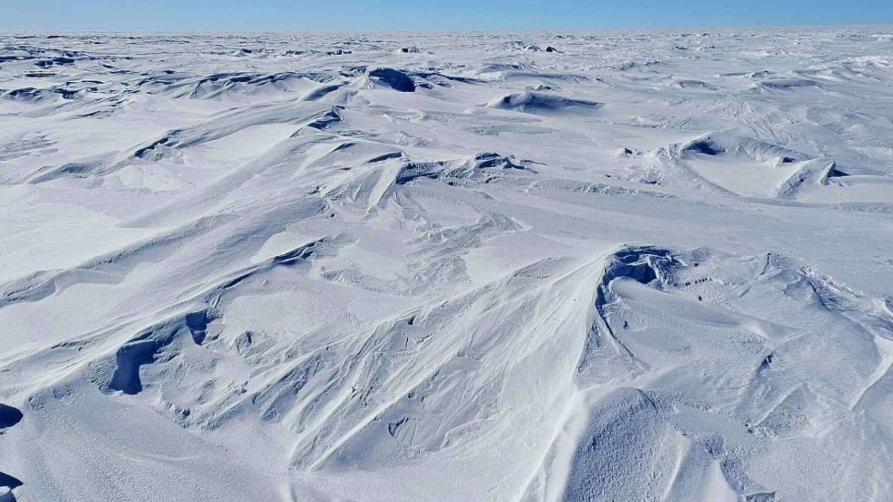 Wind-sculpted snow across the East Antarctic Plateau under a clear blue sky